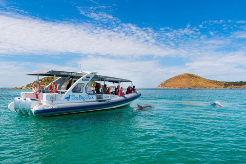 Southern Ocean Adventure From Victor Harbor - Lightning Ridge Tourism 1