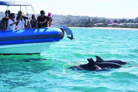 Southern Ocean Adventure From Victor Harbor - Lightning Ridge Tourism 2