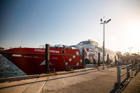Rottnest Island Round-Trip Ferry From Perth Or Fremantle - Lightning Ridge Tourism 2