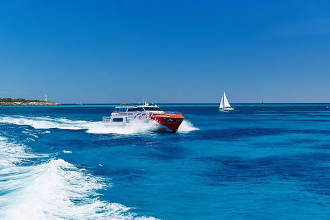 Rottnest Island Round-Trip Ferry From Perth Or Fremantle - Lightning Ridge Tourism 4