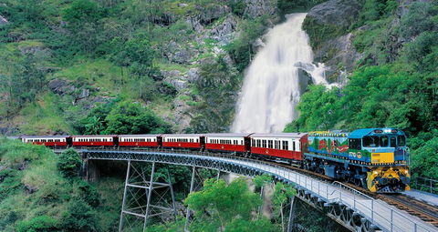 Classic Kuranda By Skyrail And Scenic Railway Including Rainforestation, Koala And Wildlife Park And Pamagirri Aboriginal Experi - Lightning Ridge Tourism 1