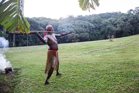 Classic Kuranda By Skyrail And Scenic Railway Including Rainforestation, Koala And Wildlife Park And Pamagirri Aboriginal Experi - Lightning Ridge Tourism 5