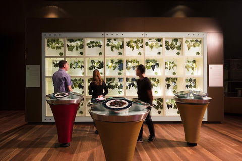 Australian Wine Discovery Tour With Tastings - Lightning Ridge Tourism 4