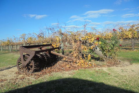 Swan Valley Tour From Perth: Wine, Beer And Chocolate Tastings - Lightning Ridge Tourism 3