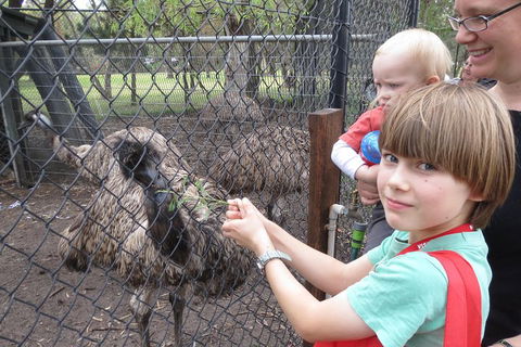 Swan Valley Half-Day Food Tour And Wine Trail From Perth - Lightning Ridge Tourism 5