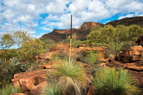 6-Day Eyre Peninsula & Flinders Ranges Adventure Tour - Lightning Ridge Tourism 1