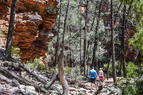 6-Day Eyre Peninsula & Flinders Ranges Adventure Tour - Lightning Ridge Tourism 5