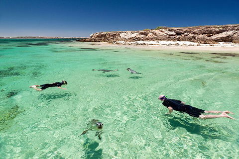 10 Day Adelaide To Perth Private Tour - The Great Australian Wilderness Journey - Lightning Ridge Tourism 1