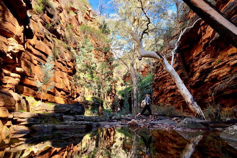 10-Day Adelaide To Perth Adventure Tour - Lightning Ridge Tourism 5