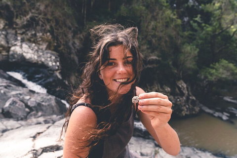 Springbrook AndTamborine Rainforest Tour Incl Natural Bridge And Glow Worm Cave - Lightning Ridge Tourism 1