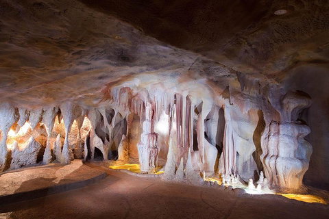 Springbrook AndTamborine Rainforest Tour Incl Natural Bridge And Glow Worm Cave - Lightning Ridge Tourism 4