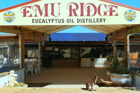 2 Day Ultimate Kangaroo Island With Return Ferry - Lightning Ridge Tourism 3