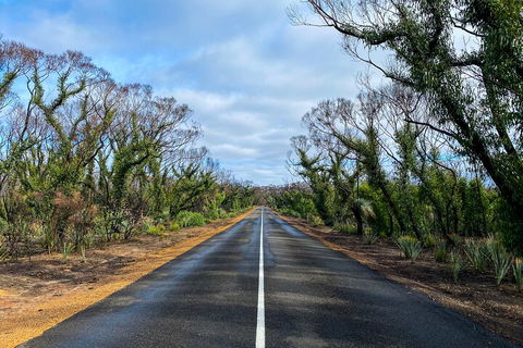 2 Day Ultimate Kangaroo Island With Return Ferry - Lightning Ridge Tourism 4