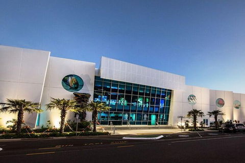 Cairns Aquarium Admission Ticket - Lightning Ridge Tourism 4