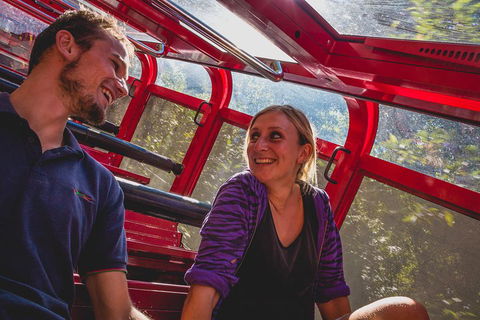 Blue Mountains Hop-on Hop-off Tour With Optional Scenic World Rides - Lightning Ridge Tourism 5