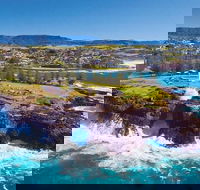 Sydney Wine Tour  Wine Waves  Wildlife in South Coast - Lightning Ridge Tourism