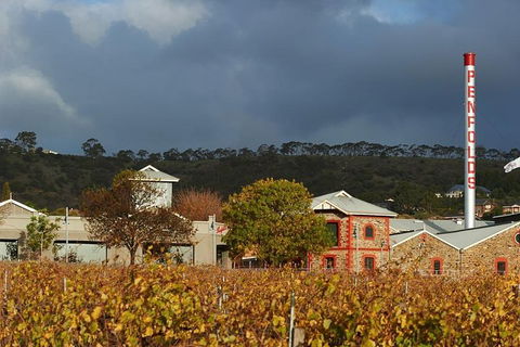 Penfolds Magill Estate Iconic Experience - Lightning Ridge Tourism 3