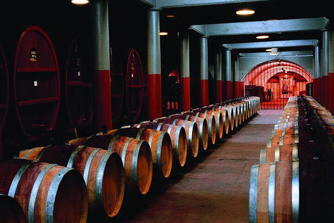 Penfolds Magill Estate Iconic Experience - Lightning Ridge Tourism 4