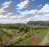 Hunter Valley Wine Tour from Sydney incl Lunch Cheese Chocolate and Distillery - Lightning Ridge Tourism