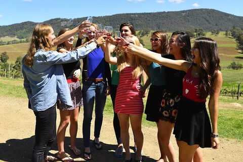 Hunter Valley Wine Tour From Sydney Incl Lunch, Cheese, Chocolate And Distillery - Lightning Ridge Tourism 3