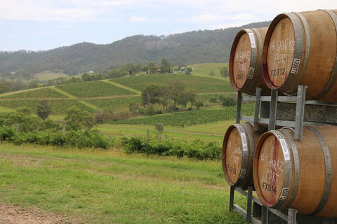 Hunter Valley Wine Tour From Sydney Incl Lunch, Cheese, Chocolate And Distillery - Lightning Ridge Tourism 5