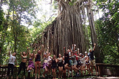 Atherton Tablelands Waterfalls Tour From Cairns - Lightning Ridge Tourism 5