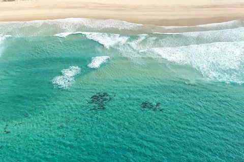 Coastal Helicopter Shared Flight - 20 Minutes - Lightning Ridge Tourism 4