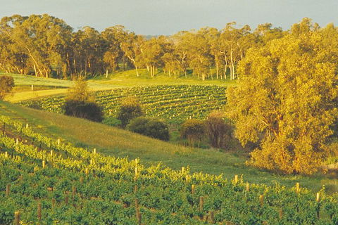 Swan Valley Private Tour - Lightning Ridge Tourism 2