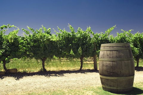 Swan Valley Private Tour - Lightning Ridge Tourism 4