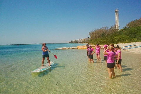 Golden Beach 1-Hour Stand-Up Paddleboard Hire On The Sunshine Coast - Lightning Ridge Tourism 1