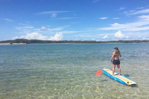 Golden Beach 1-Hour Stand-Up Paddleboard Hire On The Sunshine Coast - Lightning Ridge Tourism 4