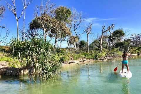 Golden Beach 1-Hour Stand-Up Paddleboard Hire On The Sunshine Coast - Lightning Ridge Tourism 5