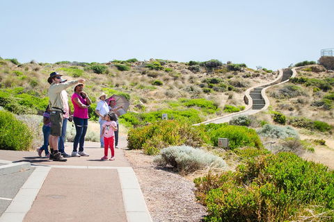 Margaret River Coastal And Wildlife Eco Trip From Busselton Or Dunsborough - Lightning Ridge Tourism 0