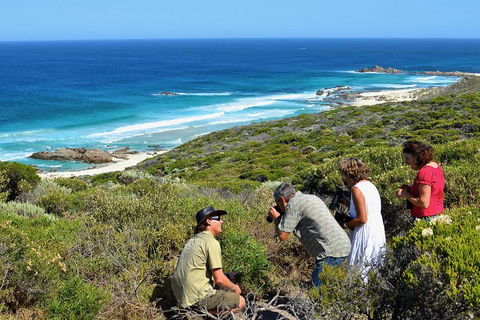 Margaret River Coastal And Wildlife Eco Trip From Busselton Or Dunsborough - Lightning Ridge Tourism 2