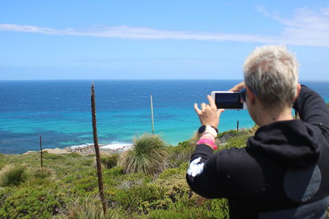 Margaret River Coastal And Wildlife Eco Trip From Busselton Or Dunsborough - Lightning Ridge Tourism 3