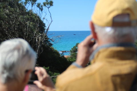 Margaret River Coastal And Wildlife Eco Trip From Busselton Or Dunsborough - Lightning Ridge Tourism 5
